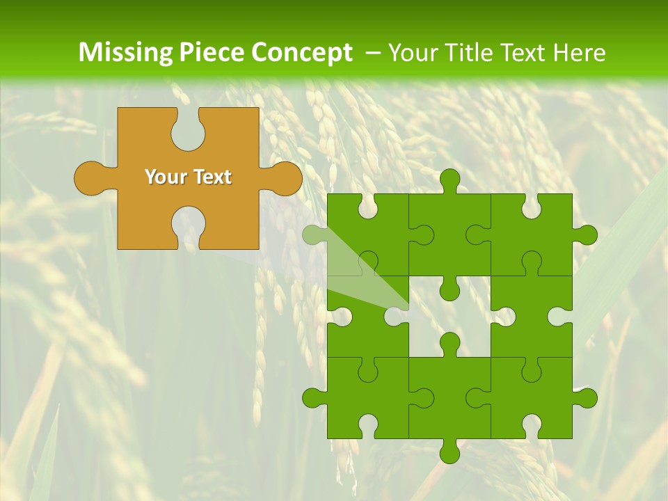 Di Cu Ion Figure Conference PowerPoint Template