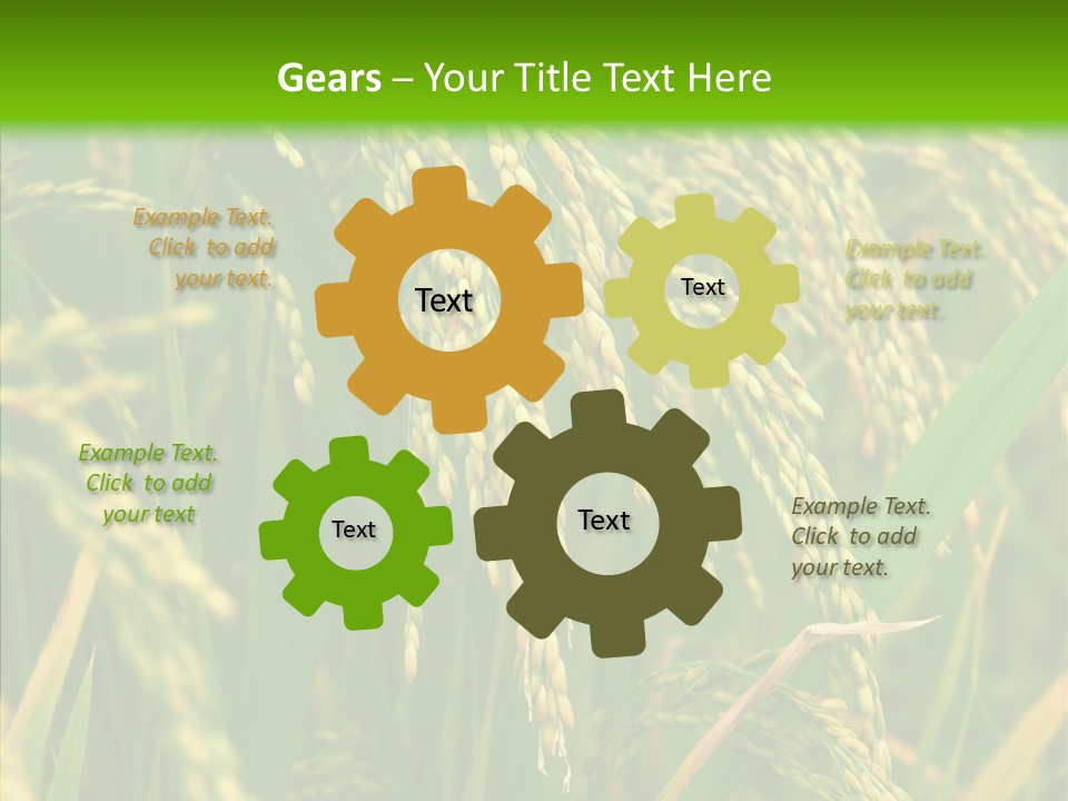 Di Cu Ion Figure Conference PowerPoint Template