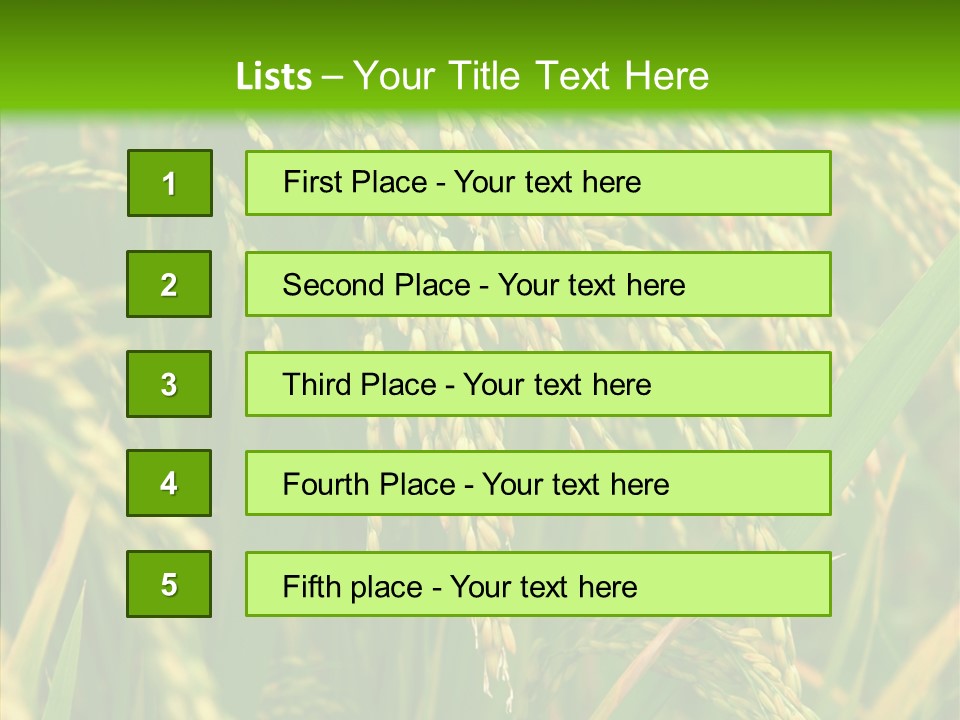 Di Cu Ion Figure Conference PowerPoint Template