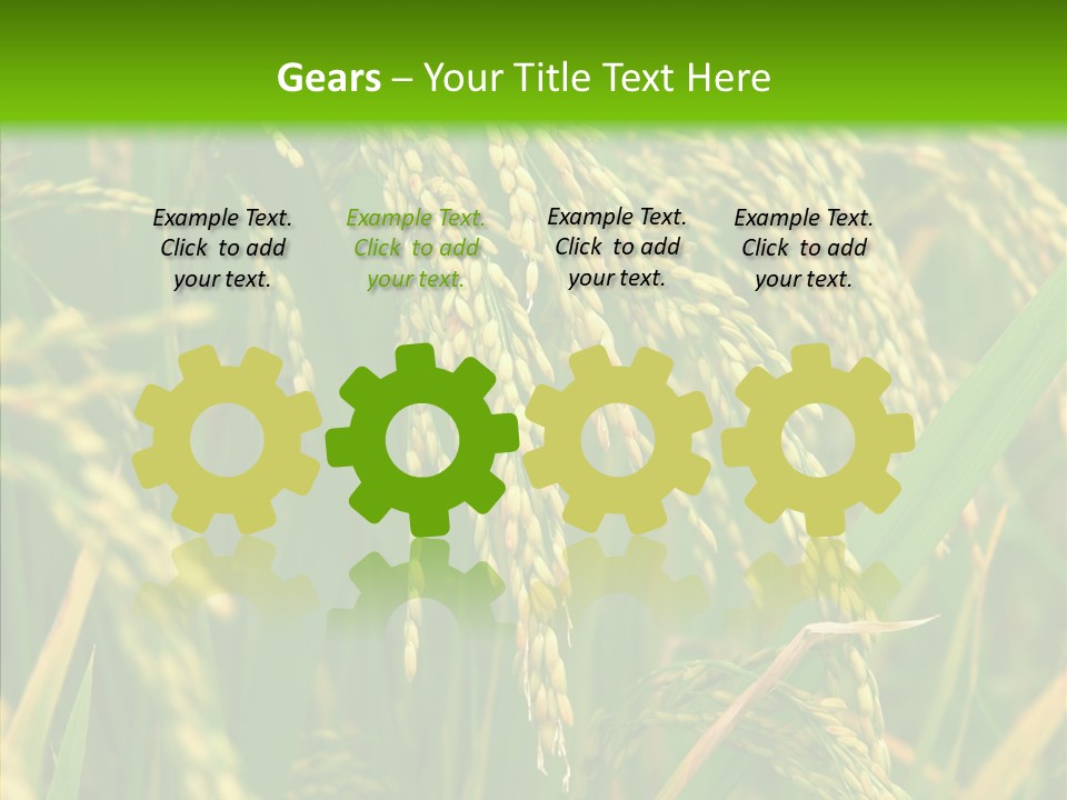 Di Cu Ion Figure Conference PowerPoint Template