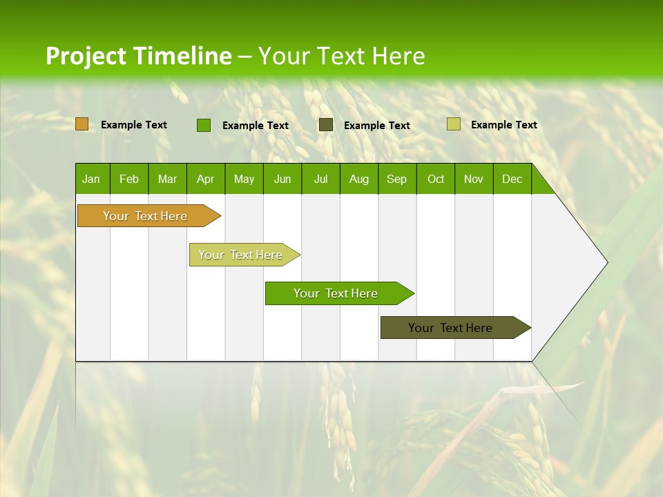 Di Cu Ion Figure Conference PowerPoint Template