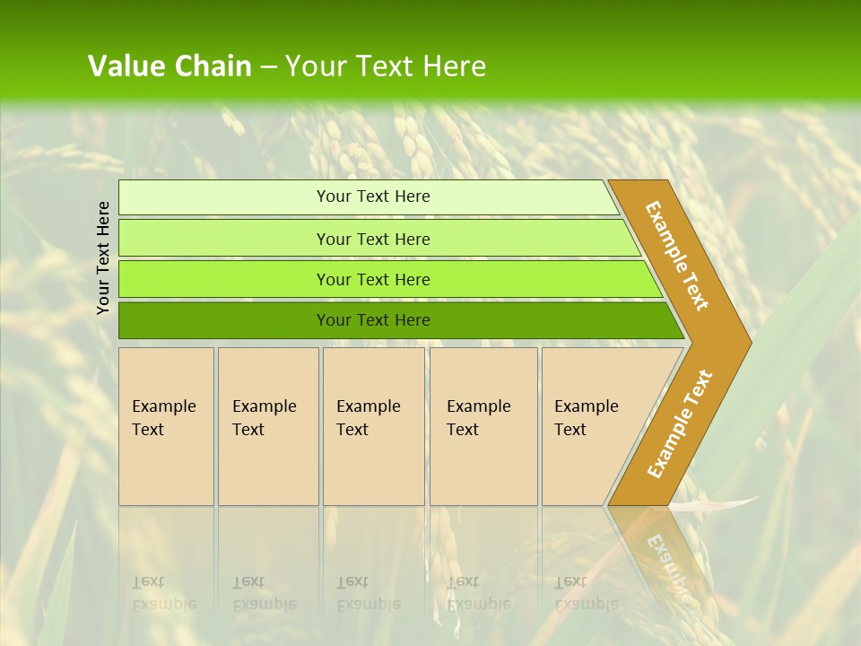 Di Cu Ion Figure Conference PowerPoint Template