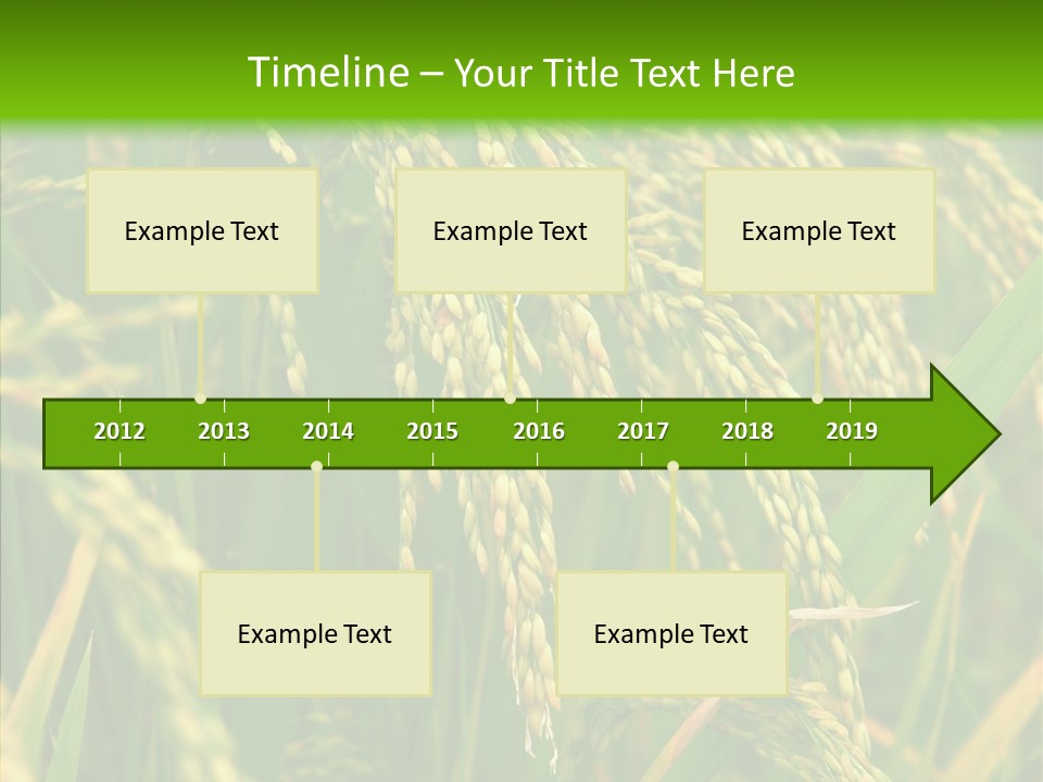 Di Cu Ion Figure Conference PowerPoint Template