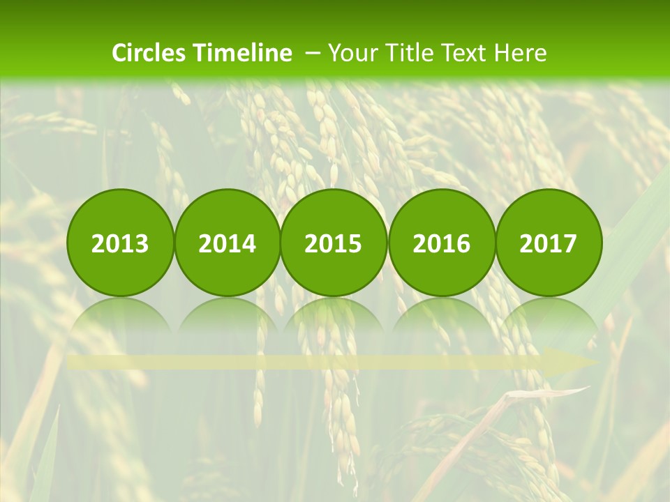 Di Cu Ion Figure Conference PowerPoint Template