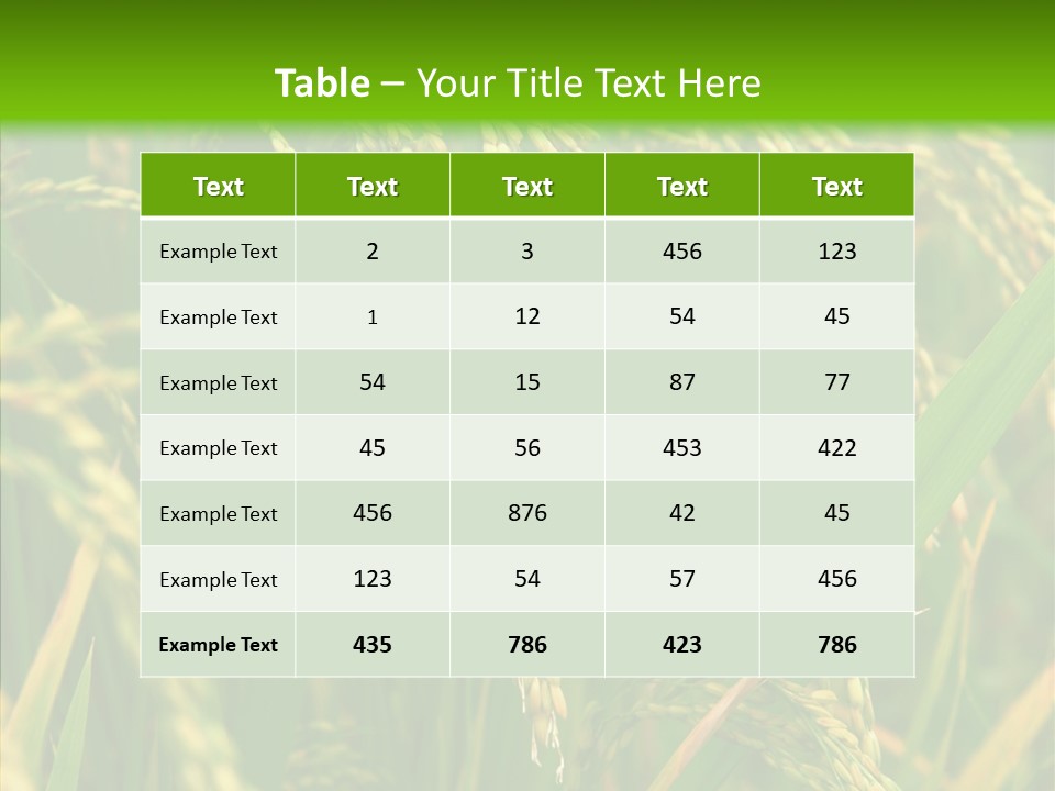 Di Cu Ion Figure Conference PowerPoint Template