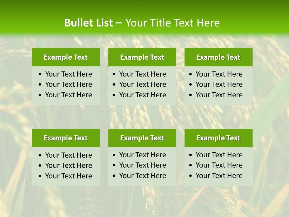 Di Cu Ion Figure Conference PowerPoint Template