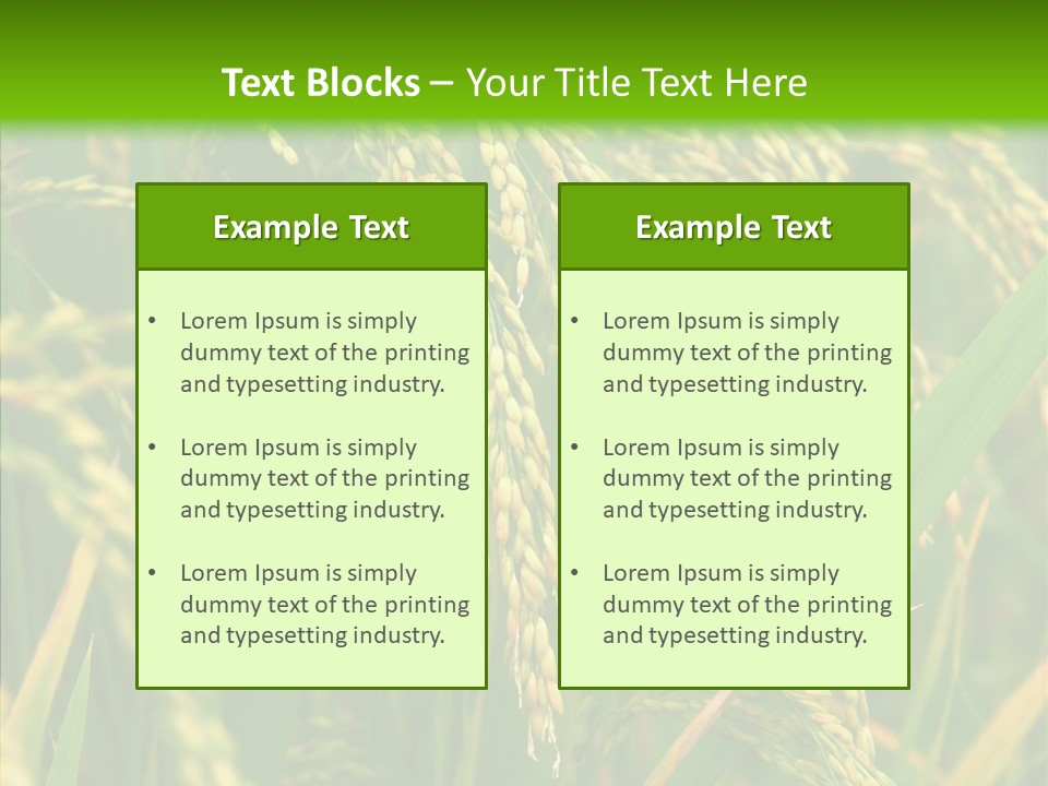 Di Cu Ion Figure Conference PowerPoint Template
