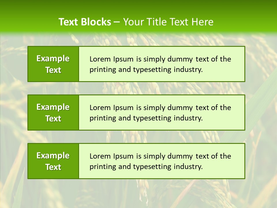 Di Cu Ion Figure Conference PowerPoint Template