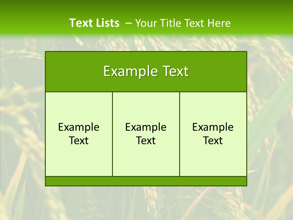 Di Cu Ion Figure Conference PowerPoint Template