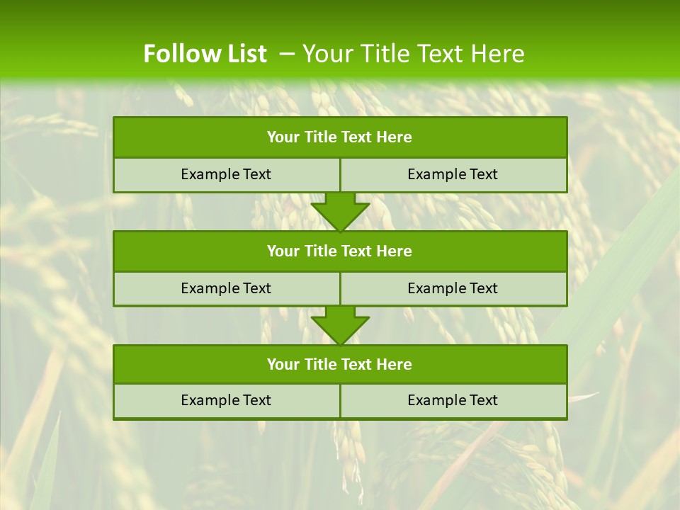 Di Cu Ion Figure Conference PowerPoint Template