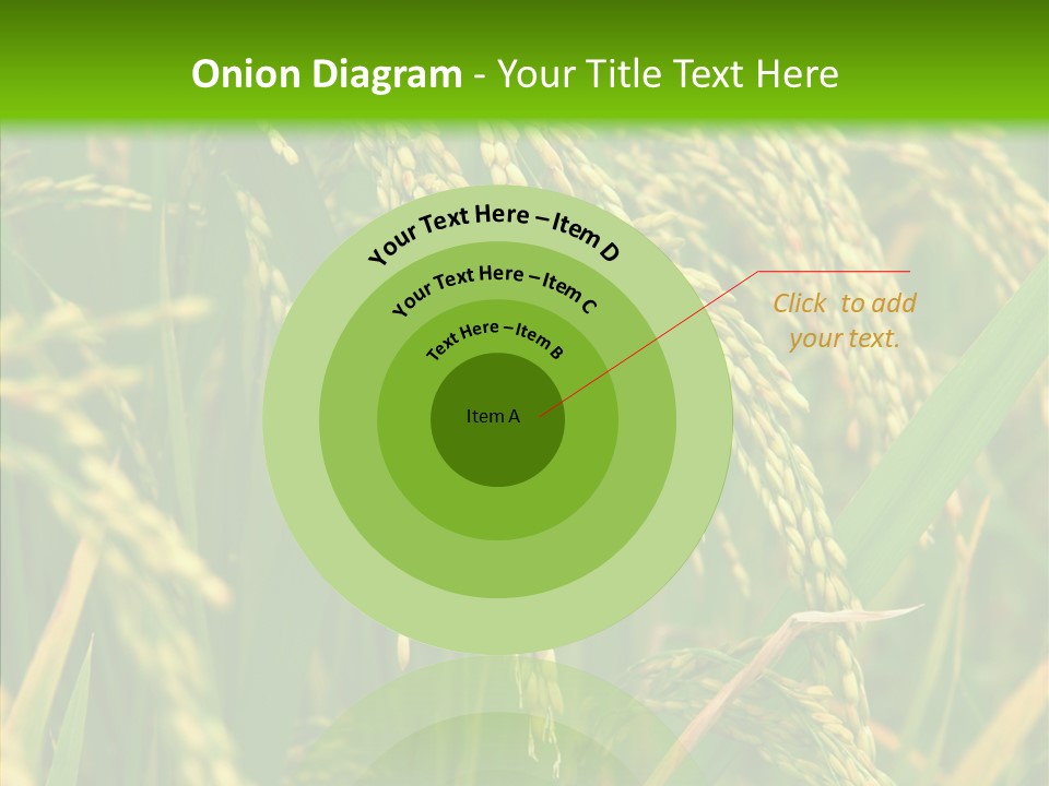 Di Cu Ion Figure Conference PowerPoint Template