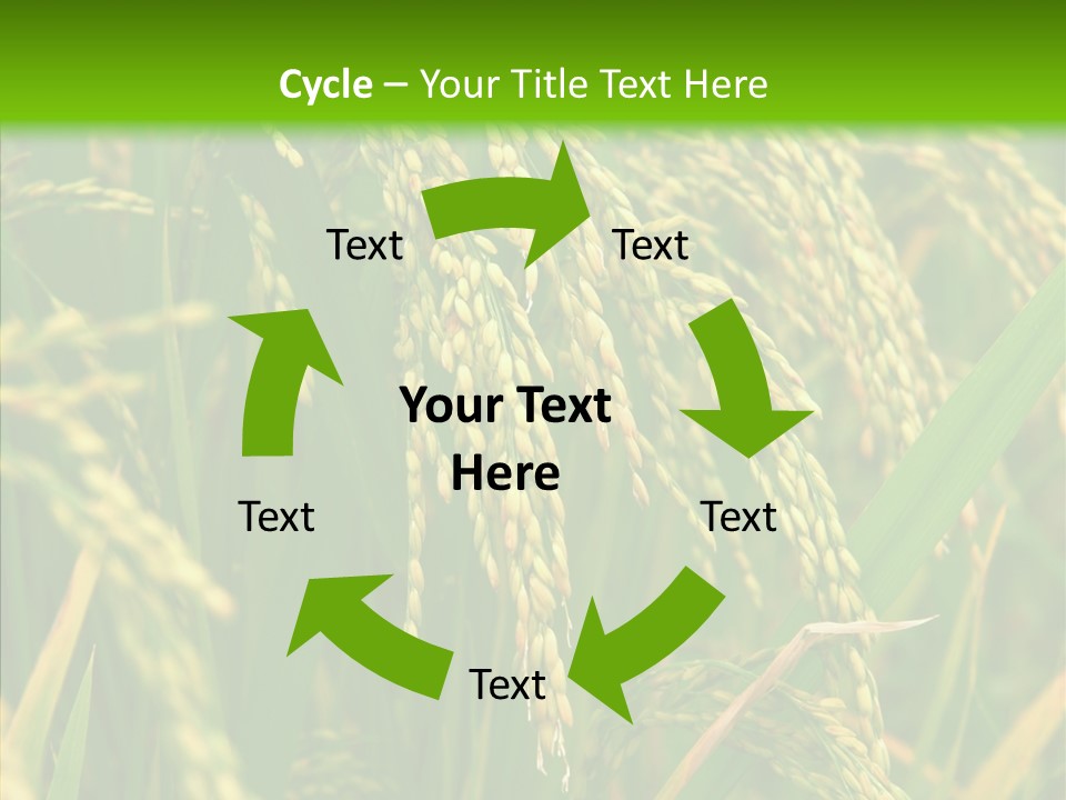 Di Cu Ion Figure Conference PowerPoint Template