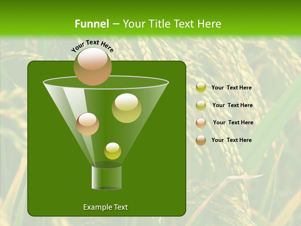 Di Cu Ion Figure Conference PowerPoint Template