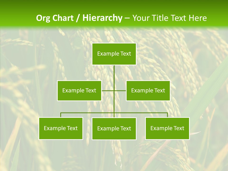 Di Cu Ion Figure Conference PowerPoint Template