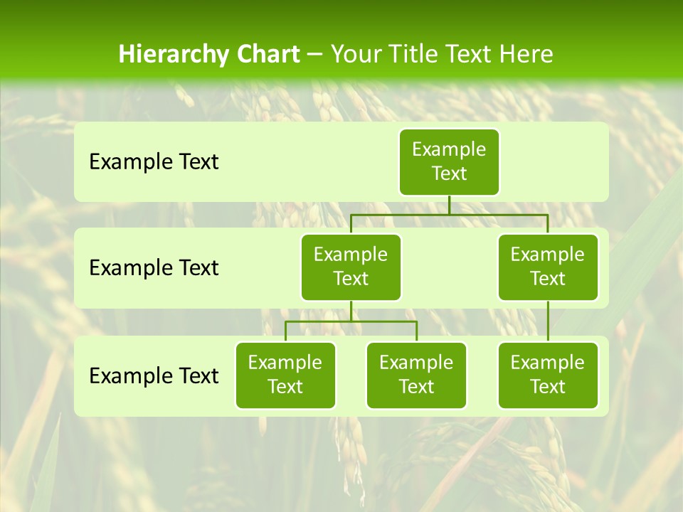 Di Cu Ion Figure Conference PowerPoint Template