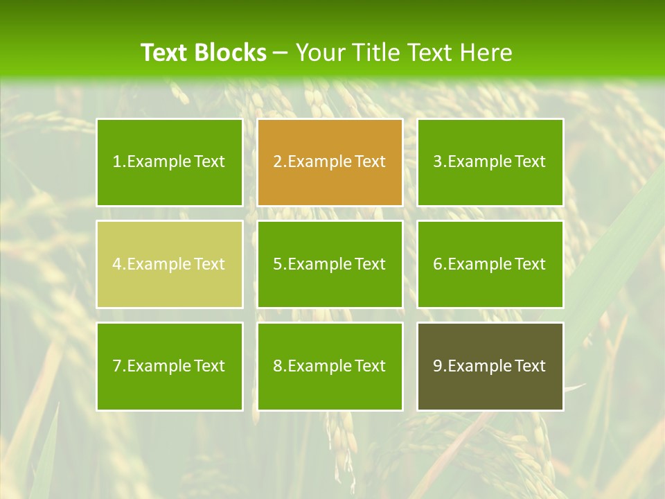 Di Cu Ion Figure Conference PowerPoint Template