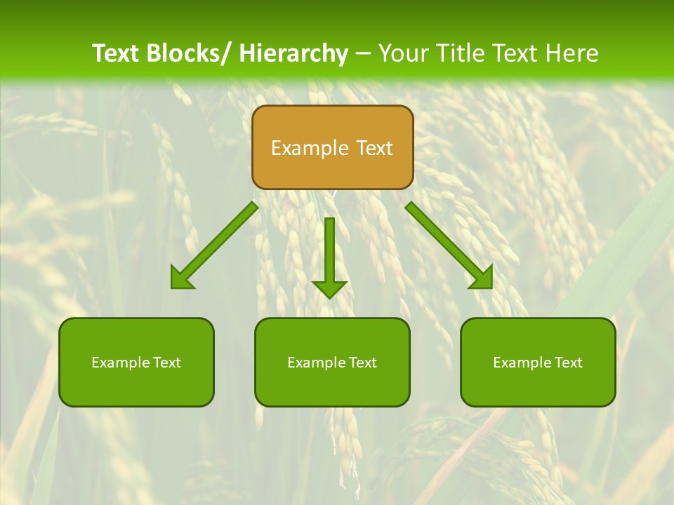 Di Cu Ion Figure Conference PowerPoint Template