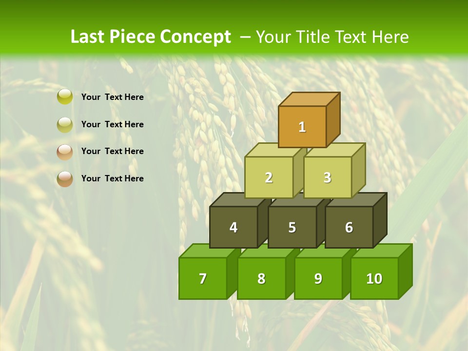Di Cu Ion Figure Conference PowerPoint Template