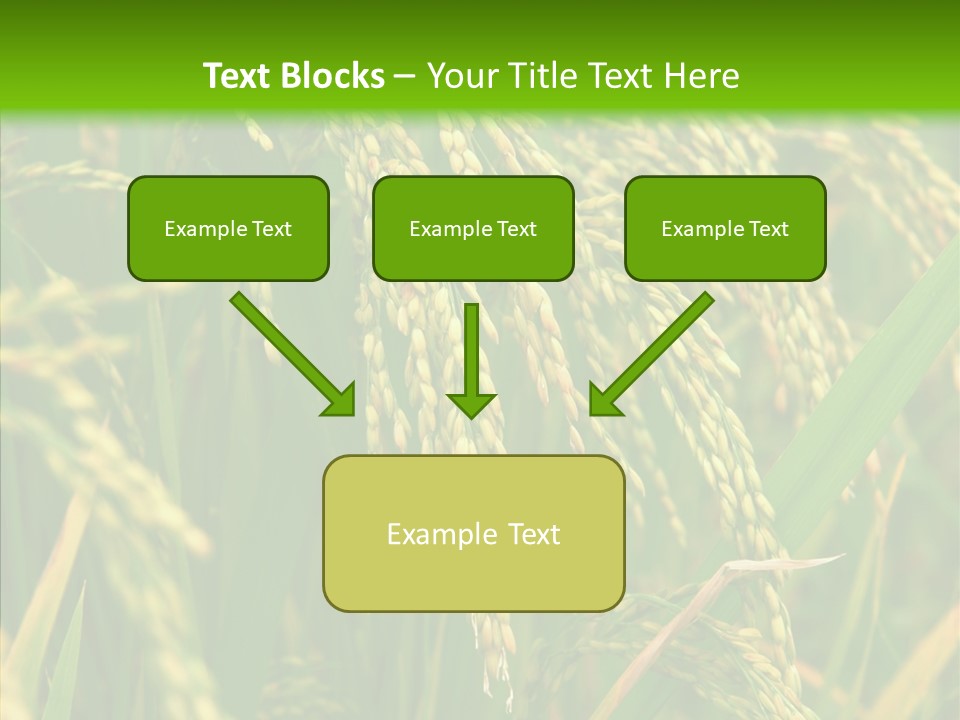 Di Cu Ion Figure Conference PowerPoint Template