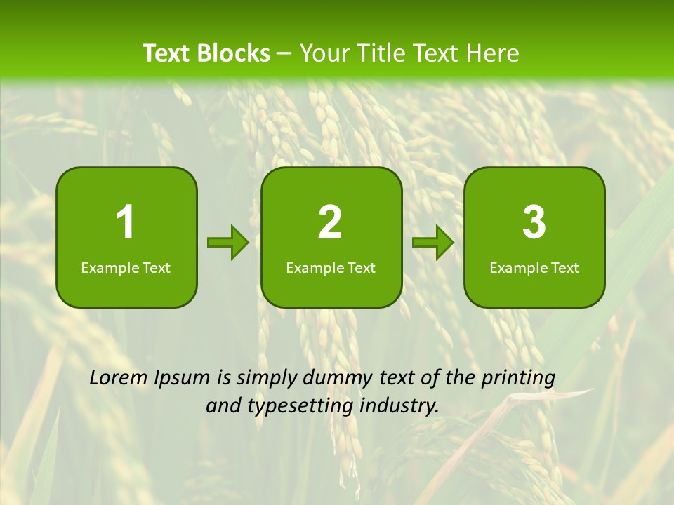 Di Cu Ion Figure Conference PowerPoint Template