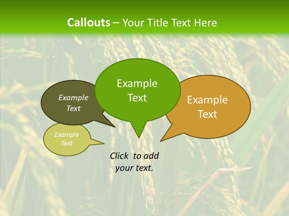 Di Cu Ion Figure Conference PowerPoint Template