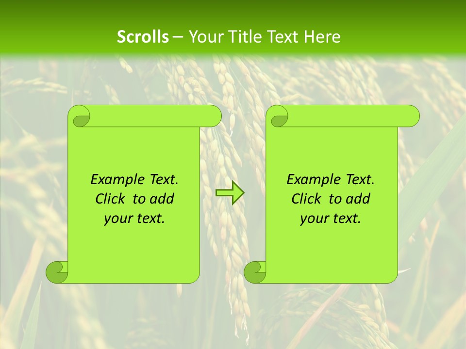 Di Cu Ion Figure Conference PowerPoint Template