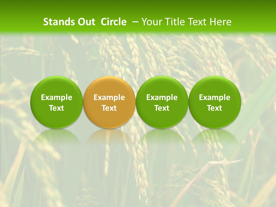 Di Cu Ion Figure Conference PowerPoint Template