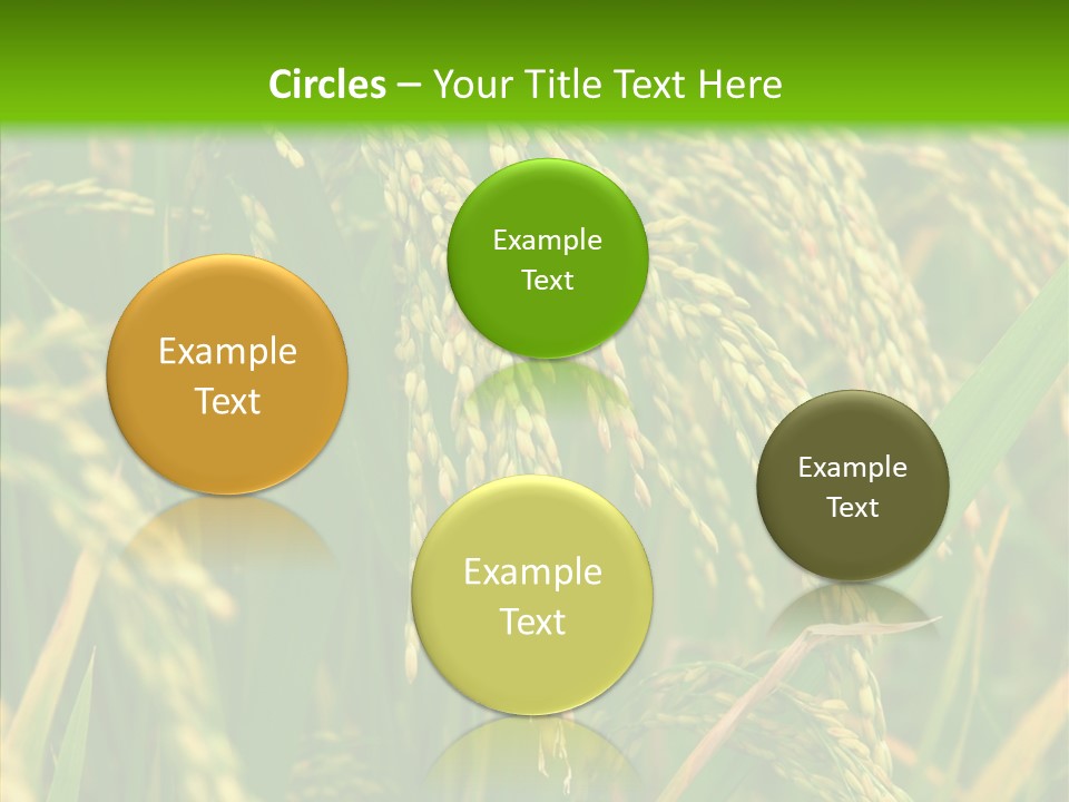 Di Cu Ion Figure Conference PowerPoint Template
