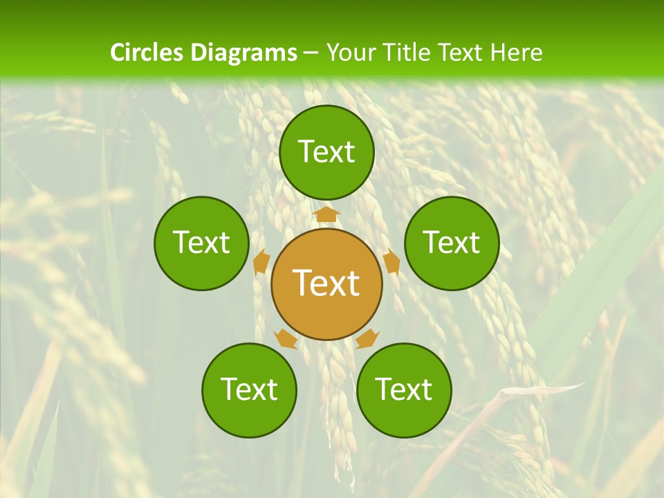 Di Cu Ion Figure Conference PowerPoint Template