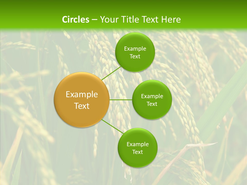 Di Cu Ion Figure Conference PowerPoint Template