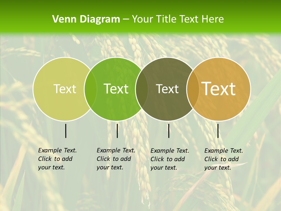 Di Cu Ion Figure Conference PowerPoint Template