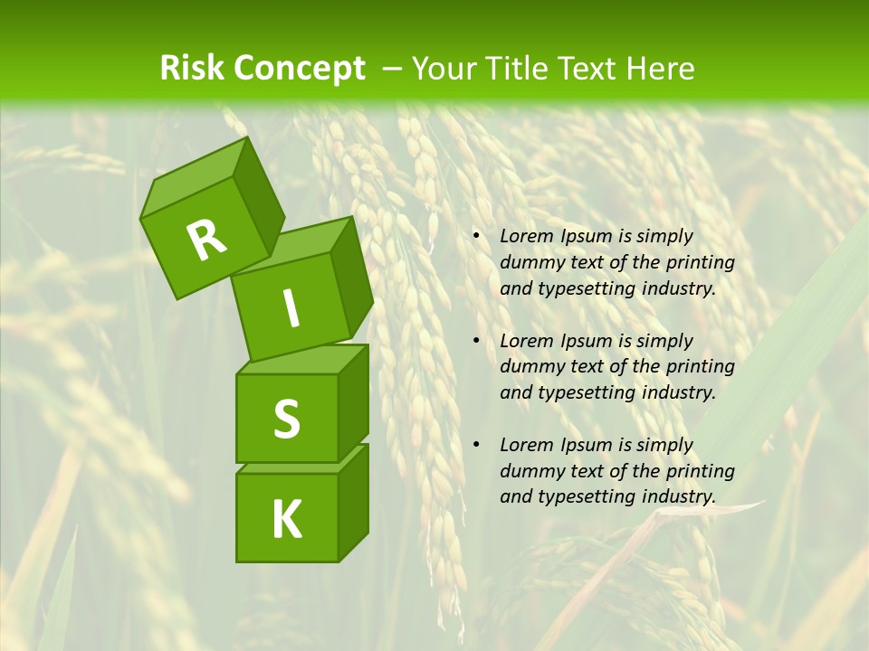 Di Cu Ion Figure Conference PowerPoint Template