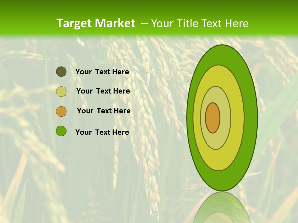 Di Cu Ion Figure Conference PowerPoint Template