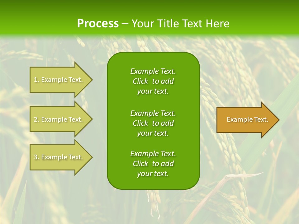 Di Cu Ion Figure Conference PowerPoint Template