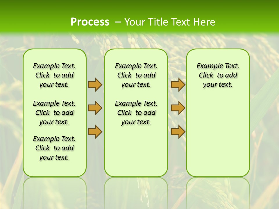 Di Cu Ion Figure Conference PowerPoint Template