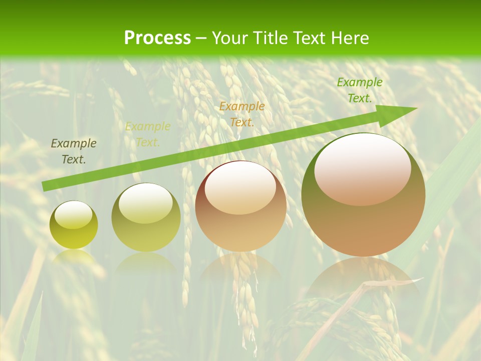 Di Cu Ion Figure Conference PowerPoint Template