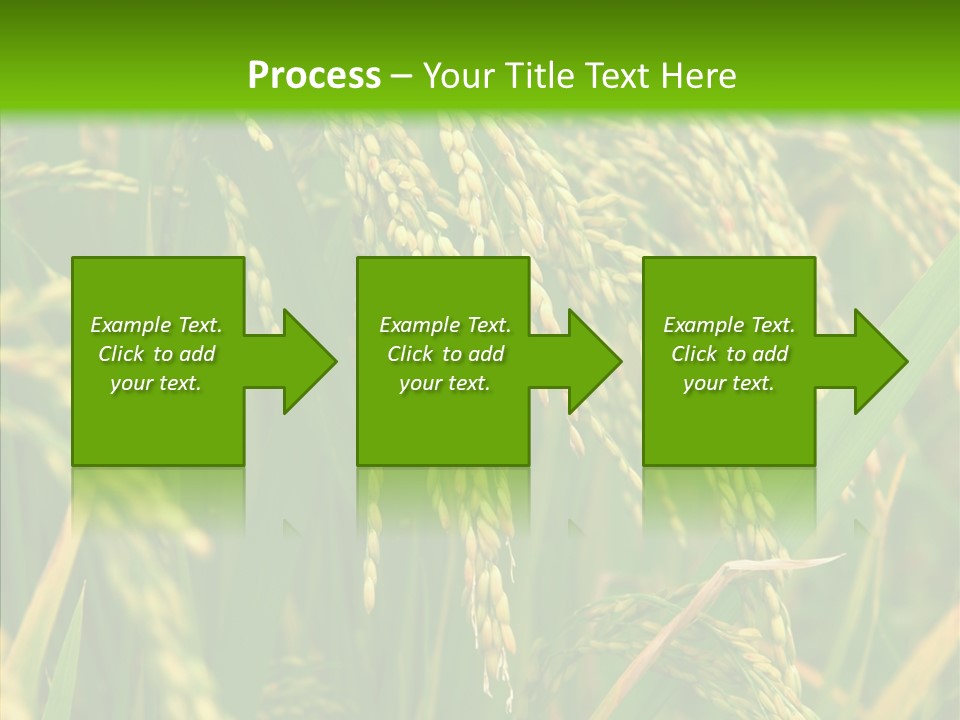 Di Cu Ion Figure Conference PowerPoint Template