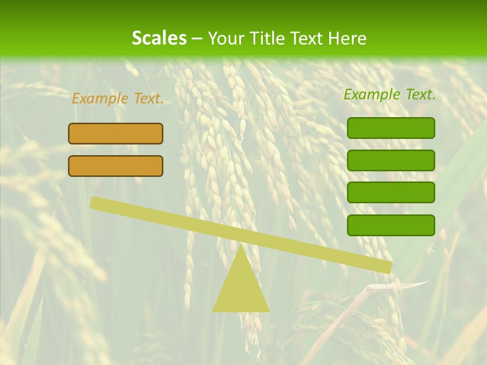 Di Cu Ion Figure Conference PowerPoint Template