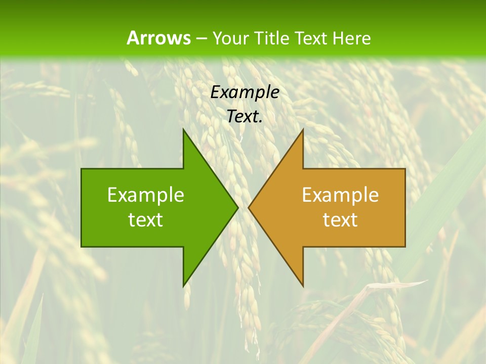 Di Cu Ion Figure Conference PowerPoint Template
