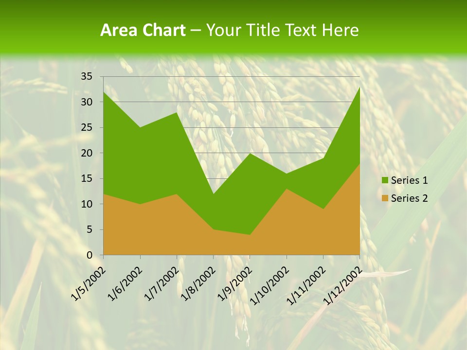 Di Cu Ion Figure Conference PowerPoint Template