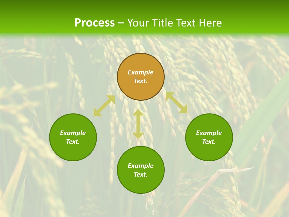 Di Cu Ion Figure Conference PowerPoint Template