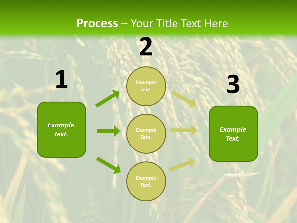 Di Cu Ion Figure Conference PowerPoint Template