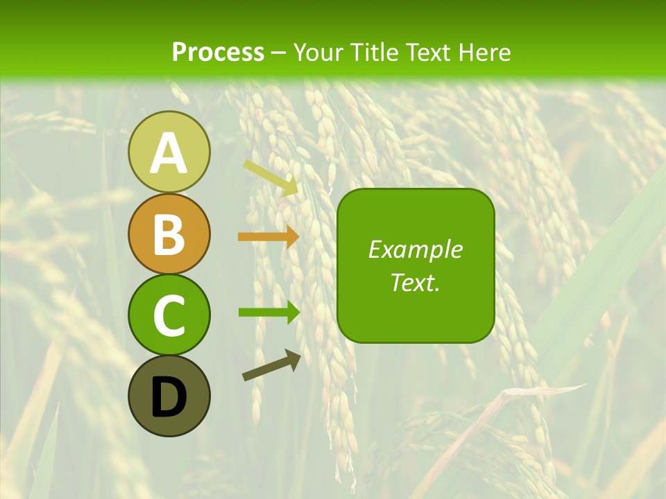 Di Cu Ion Figure Conference PowerPoint Template