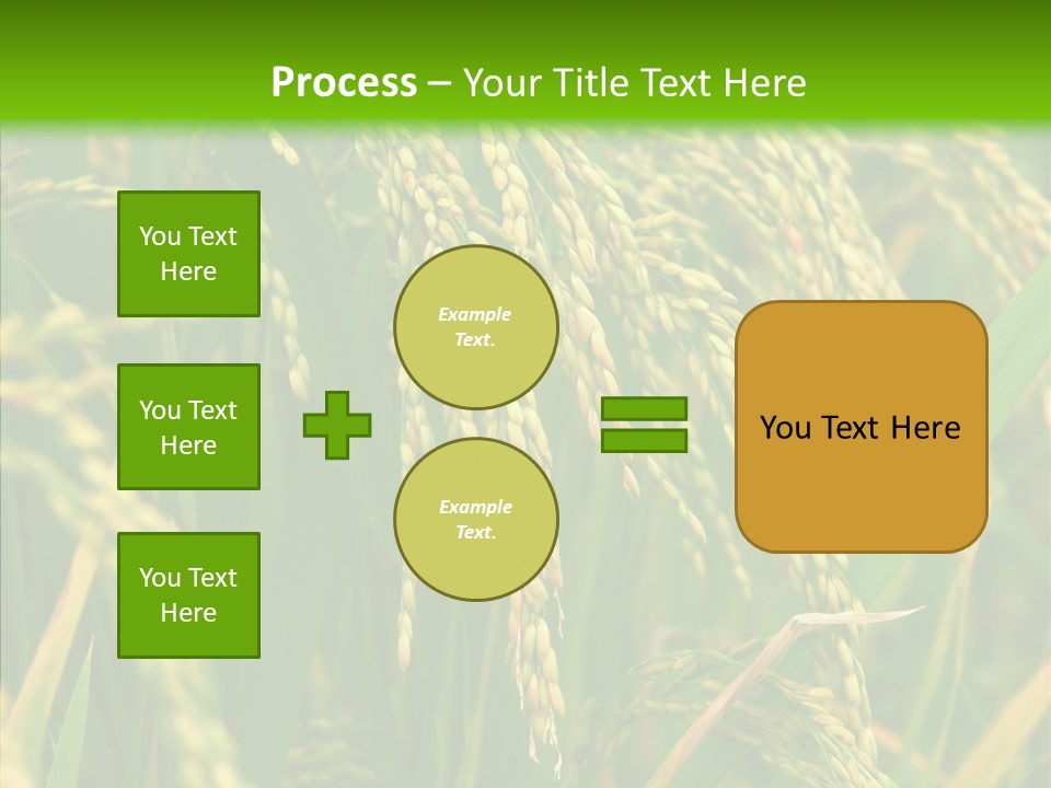 Di Cu Ion Figure Conference PowerPoint Template
