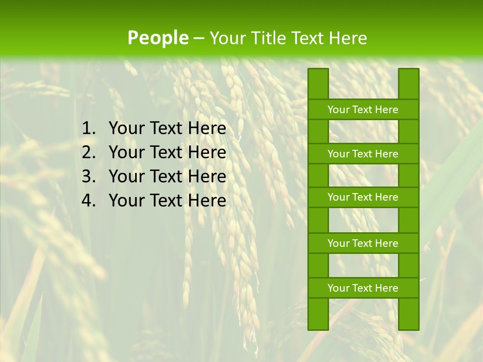 Di Cu Ion Figure Conference PowerPoint Template