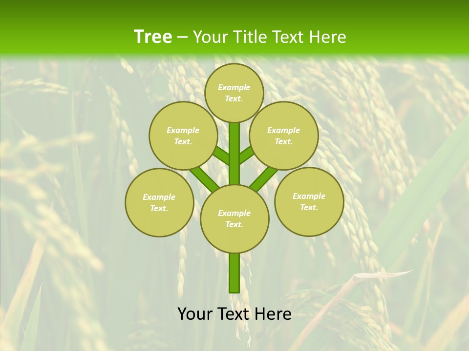 Di Cu Ion Figure Conference PowerPoint Template