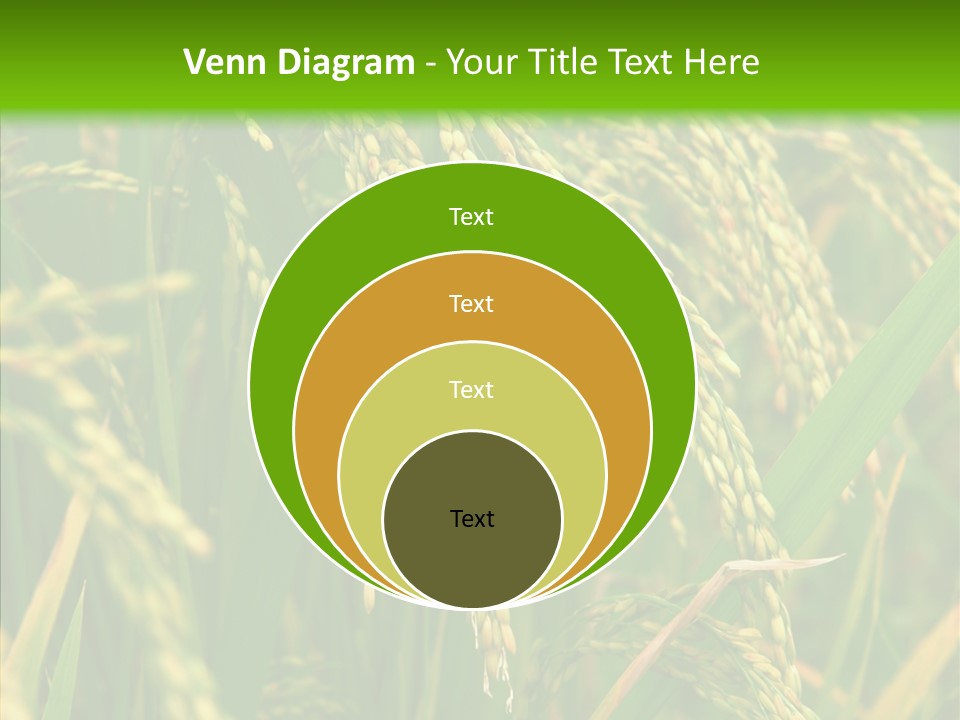 Di Cu Ion Figure Conference PowerPoint Template