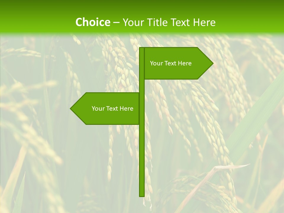 Di Cu Ion Figure Conference PowerPoint Template