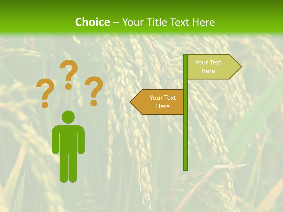 Di Cu Ion Figure Conference PowerPoint Template
