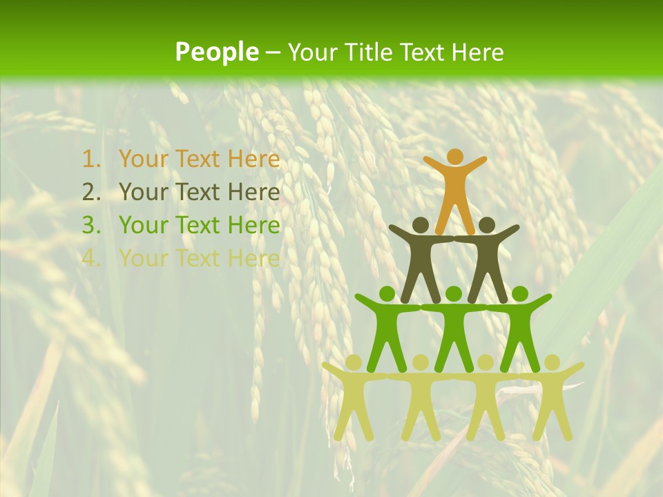 Di Cu Ion Figure Conference PowerPoint Template